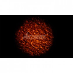 LED-WAV-10W Led Wave - Dalga Efekt Işığı - 2