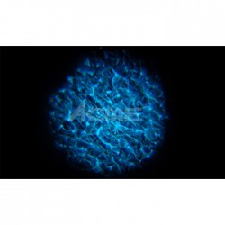 LED-WAV-10W Led Wave - Dalga Efekt Işığı - 3