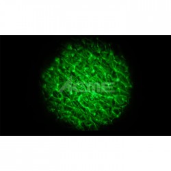 LED-WAV-10W Led Wave - Dalga Efekt Işığı - 6