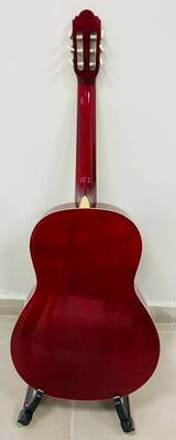 HG39-201N Klasik Gitar