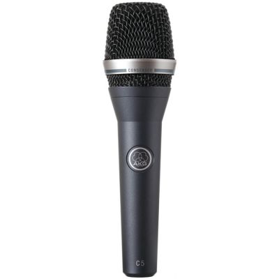 C5 Profesyonel Kondenser Vokal Mikrofon - 1