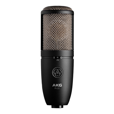AKG P420 Kondenser Kayıt Mikrofonu