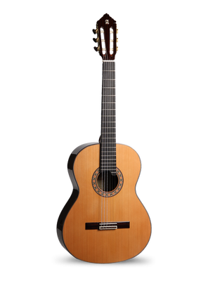 10P+Hard Case Klasik Gitar - 1