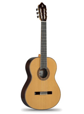 8P Klasik Gitar + Hard Case - 1