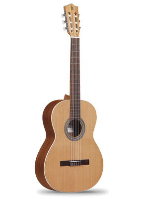 Z-Nature Klasik Gitar - 1