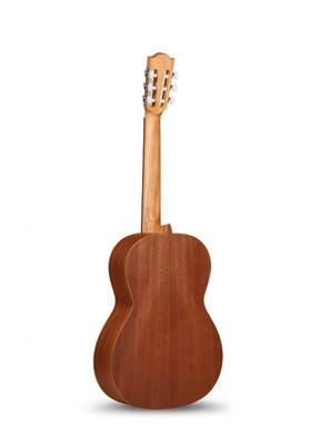 Z-Nature Klasik Gitar - 2