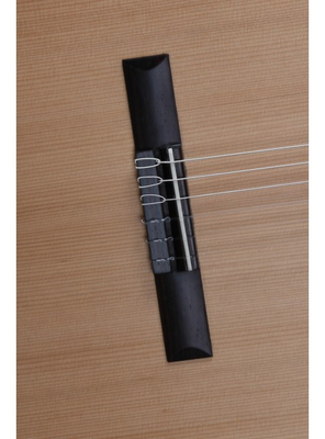 Z-Nature Klasik Gitar - 5