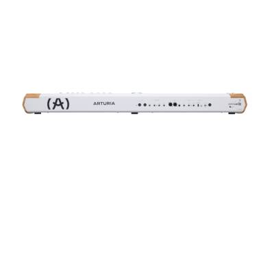 AstroLab 88 88 Tuş Stage Studio Keyboard - 2