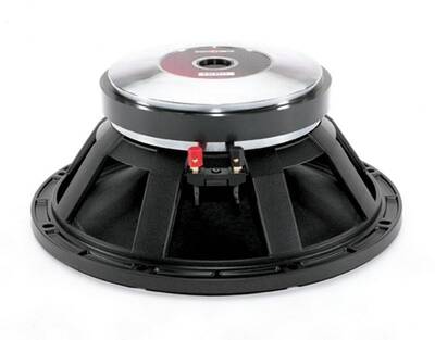 B&C 12 PE 32 - 12 inç 500W max 50-4000 Hz Mid Bass Çıplak Hoparlör - 1
