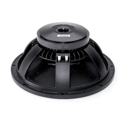 15-PLB 76 Mid Bass Çıplak Hoparlör - 2