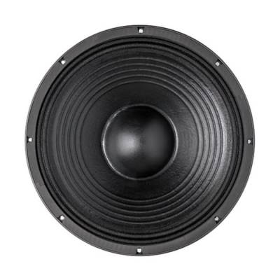 15-PZB 100 Çıplak Bass Hoparlör - 1