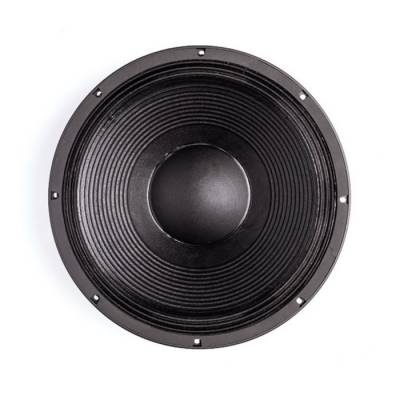 15-TBX 100 Çıplak Subbass Kabin Hoparlör - 1
