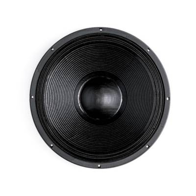 18-PS 100 Çıplak Subbass Kabin Hoparlör - 1