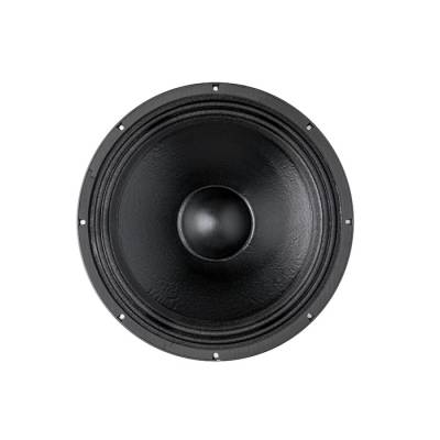 18PZB100 Çıplak Subbass Kabin Hoparlör - 1