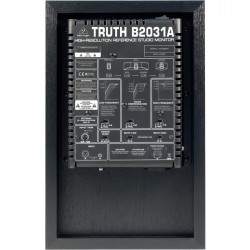 B2031A 2 Yollu 265 Watt Ev Tipi Aktif Referans Monitör - 2
