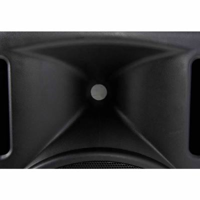 Eurolive B212XL 800 Watt 2 Yollu Pasif Kabin (Siyah) - 5