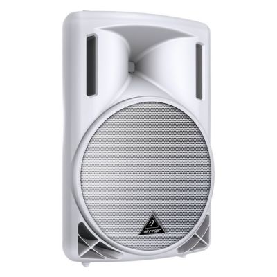 Eurolive B215XL-WH 1000 Watt 2 Yollu Pasif Hoparlör (Beyaz) - 3