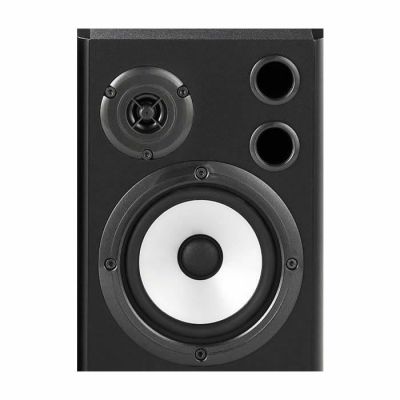 MS40 40 Watt Aktif Stereo Monitör