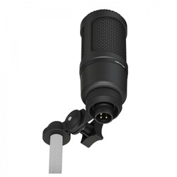 BX2020 Condenser Studio Microphone - Thumbnail