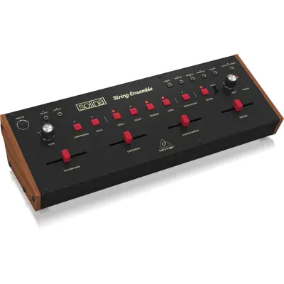 SOLINA STRING ENSEMBLE Analog Synthesizer - 2