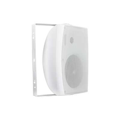 BF 4AW / B 30 WATT DUVAR TİPİ TRAFOSUZ HOPARLÖR - 1