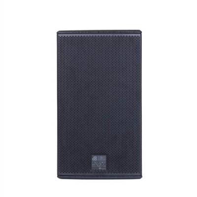 DVX P10 600 W Pasif Hoparlör - 1