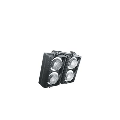 Flash 4 P36 Blinder Spot - 2