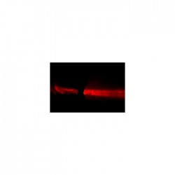 Blade İki Taraflı Beam Spot 6x10W - 2