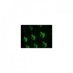 SHOW 200 2 Renk Gobo Efekt Lazer - 2