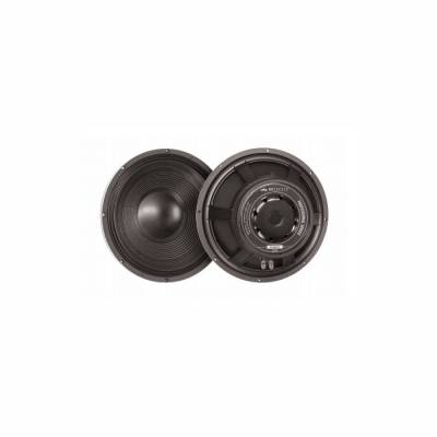 Omega Pro 18 Subbass Hoparlör 18 inç 800W - 1