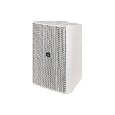 Control 29AV / 1 25AVWH 150 Watt 8 inç 100V Duvar Tipi Kabin - 1