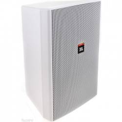 Control 28 / 1 28WH 87 Watt 8 inç Duvar Tipi Profesyonel Hoparlör - 8
