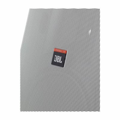 Control 28 / 1 28WH 87 Watt 8 inç Duvar Tipi Profesyonel Hoparlör - 2