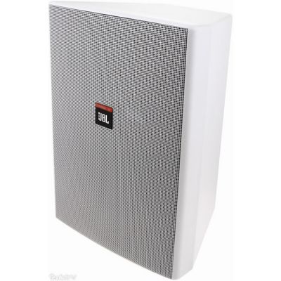 Control 28 / 1 28WH 87 Watt 8 inç Duvar Tipi Profesyonel Hoparlör - 5
