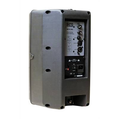 20A Aktif Plastik Kasa 8 inç 200W Rms Hoparlör - 2