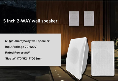 NOT PR500T 20 WATT DUVAR TİPİ HOPARLÖR - 4