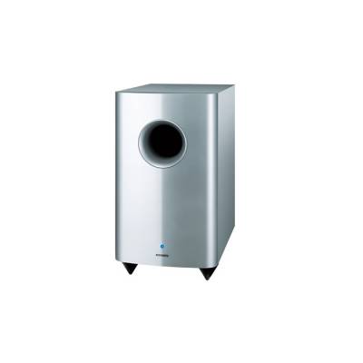 SKW-208 Subwoofer