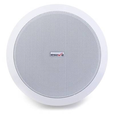 OSW 818 8 inç 30W 8 Ohm Tavan Hoparlörü - 1