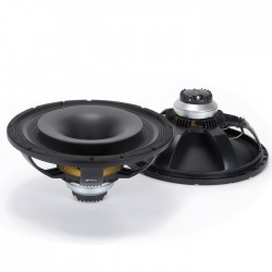 Rcf Speakers - CX15N251 15 İnç 600W Çıplak Hoparlör