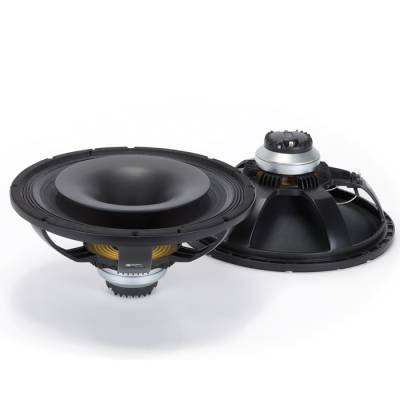 CX15N251 15 İnç 600W Çıplak Hoparlör - 1