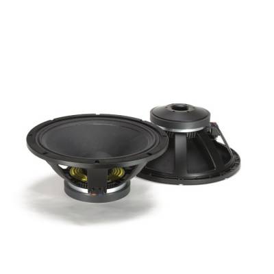 L18P300 18 İnç 2000W Çıplak Hoparlör - 1