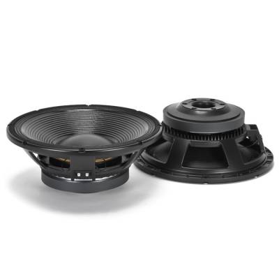 LF15X401 15 İnç 3000W Çıplak Hoparlör - 1