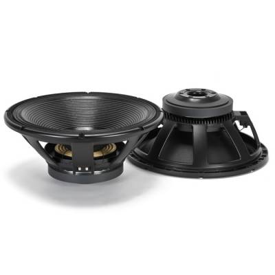 LF18X401 18 İnç 3000W Çıplak Hoparlör - 1
