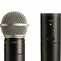 FP2/SM58 Kablosuz Dahili Vericili SM58 El Tipi Telsiz Mikrofon - Thumbnail