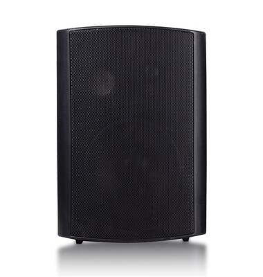 BLU 6W/B 6.5 inç 40W 2 Yollu Aktif+Pasif Duvar Hoparlör Takımı - 1