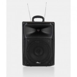 ES15A 15'' Aktif Akü Haporlör + 2x Telsiz Mikrofon - Ssp