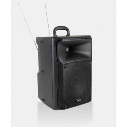 ES15A 15'' Aktif Akü Haporlör + 2x Telsiz Mikrofon - 2