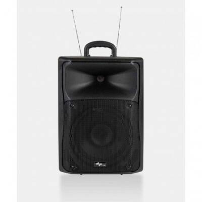 ES8A 8'' Aktif Akü Haporlör + 2x Kablosuz Mikrofon - 1