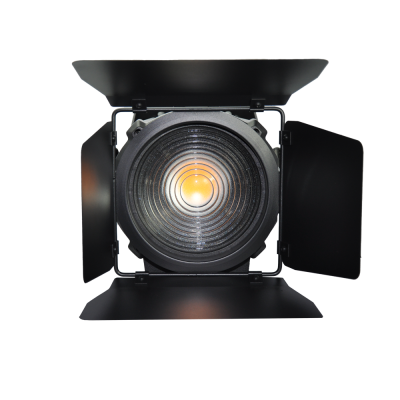 LS-03 LED Fresnel - 2