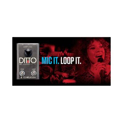 Ditto Mic Looper - 1